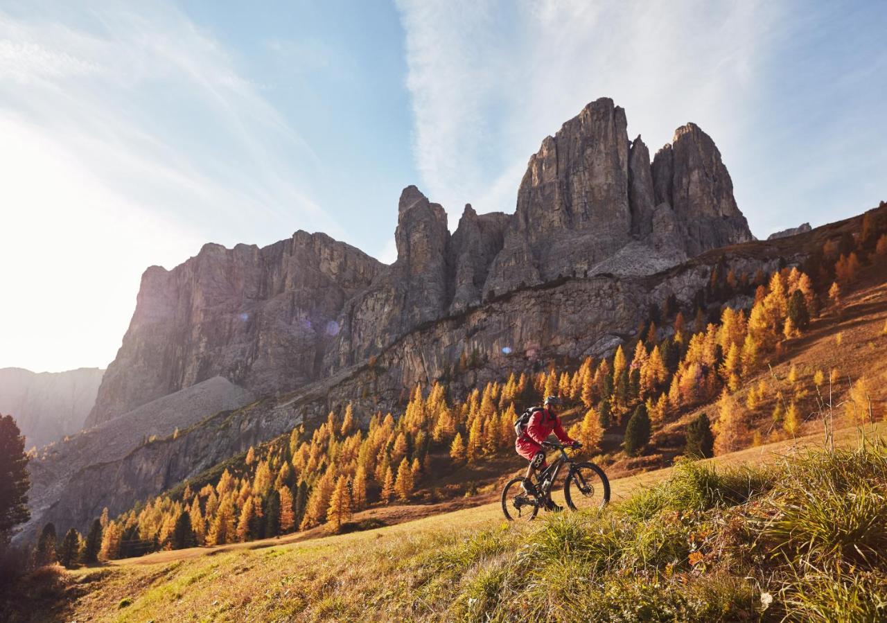 Chalet Elisabeth Dolomites Alpin & Charme Selva di Val Gardena Dış mekan fotoğraf