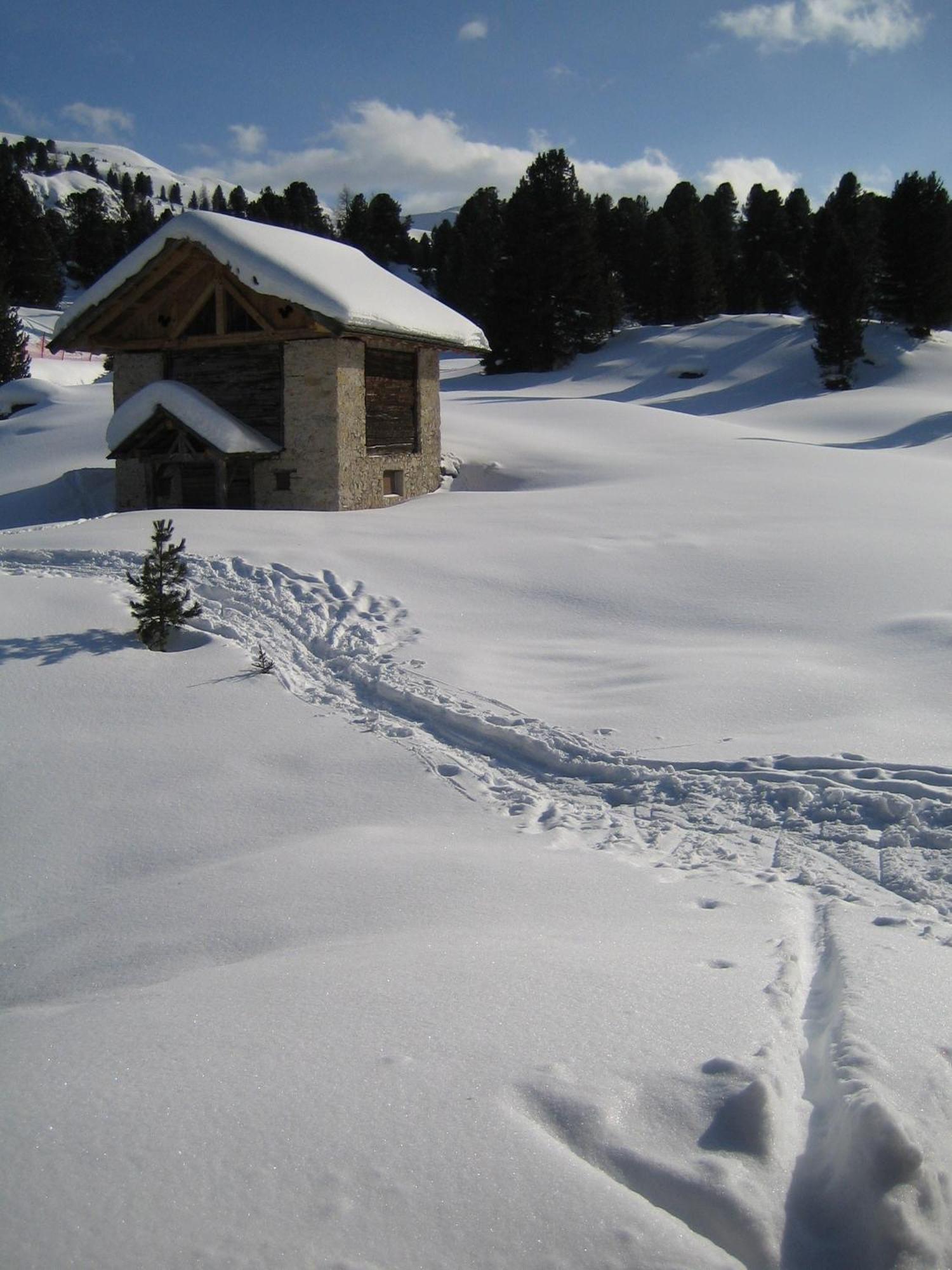 Chalet Elisabeth Dolomites Alpin & Charme Otel Selva di Val Gardena Dış mekan fotoğraf