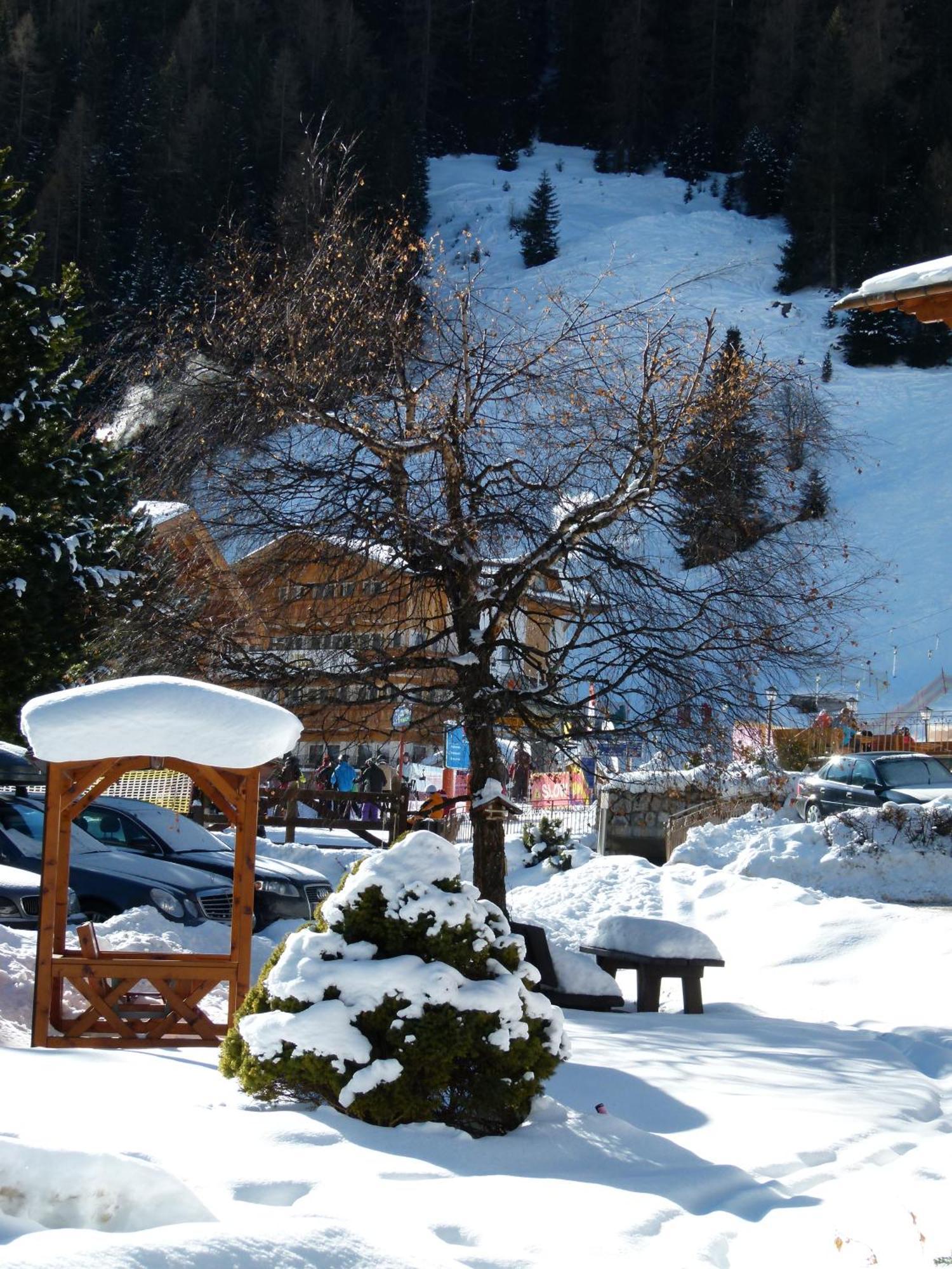 Chalet Elisabeth Dolomites Alpin & Charme Otel Selva di Val Gardena Dış mekan fotoğraf