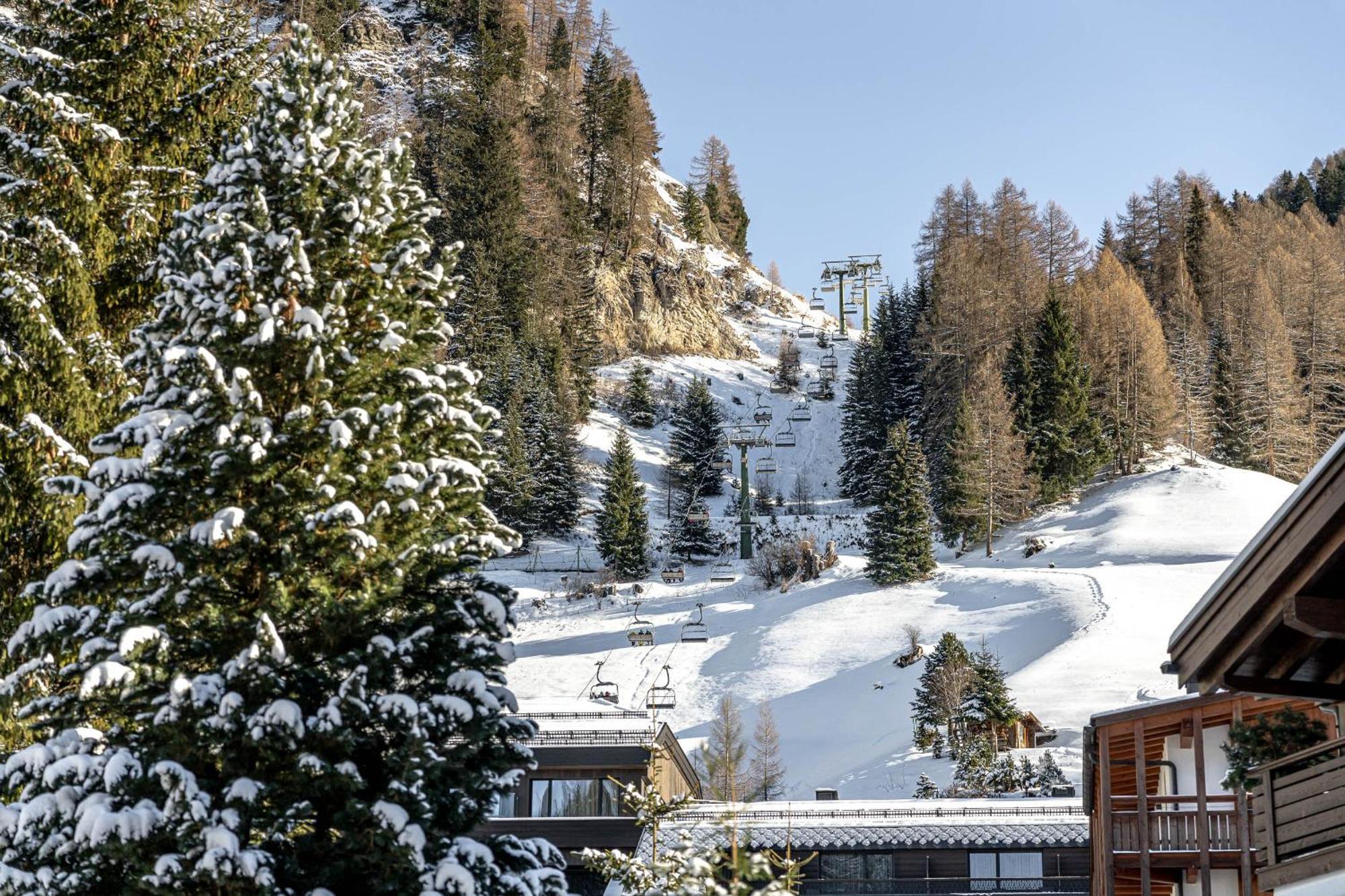 Chalet Elisabeth Dolomites Alpin & Charme Selva di Val Gardena Dış mekan fotoğraf